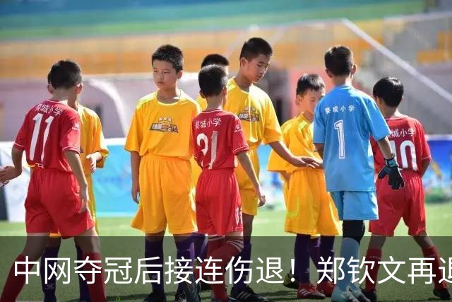 中网夺冠后接连伤退！郑钦文再退两站赛事，提前结束2026赛季