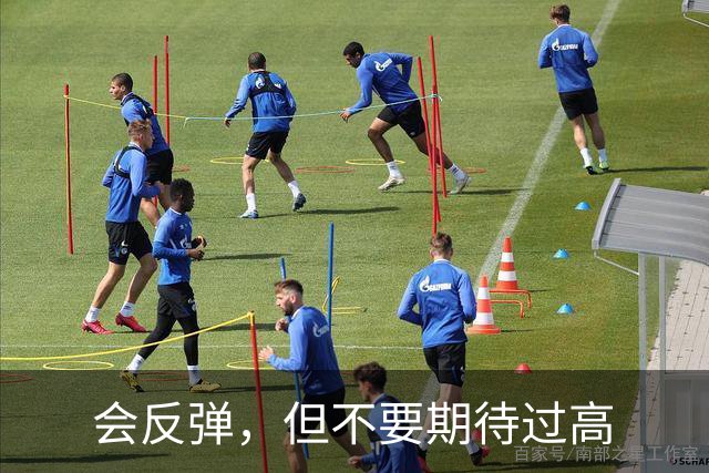 会反弹，但不要期待过高