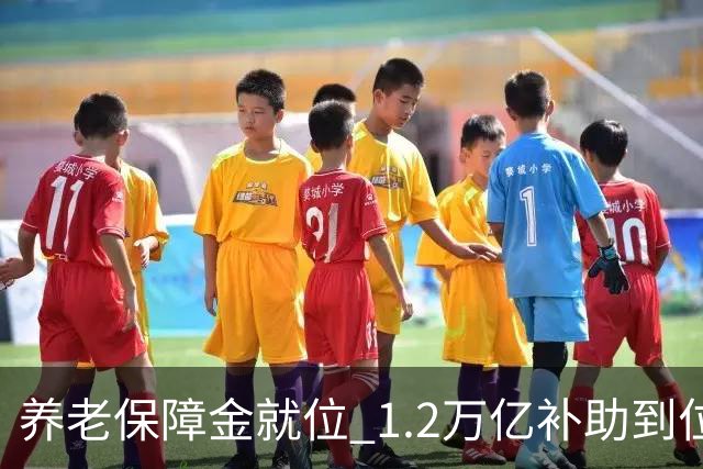养老保障金就位 1.2万亿补助到位，26年养老金调整发文时间引关注