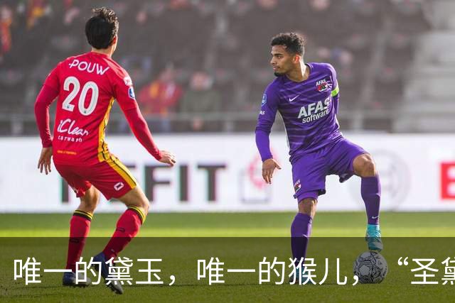 唯一的黛玉，唯一的猴儿，“圣黛CP”流行简史
