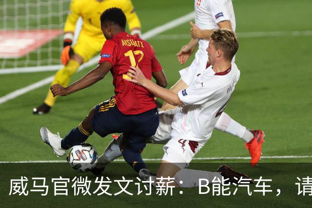 威马官微发文讨薪：B能汽车，请发我们工资