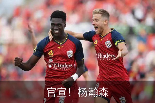 官宣！杨瀚森