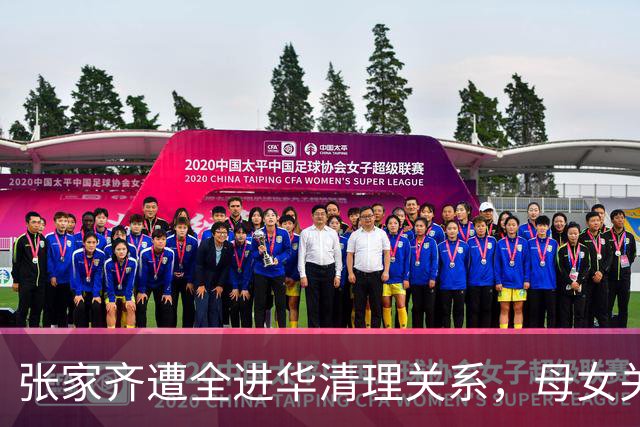 张家齐遭全进华清理关系，母女关系迎来反转，专业人士也束手无策