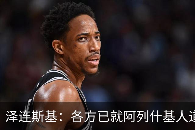 泽连斯基：各方已就阿列什基人道主义行动达成协议