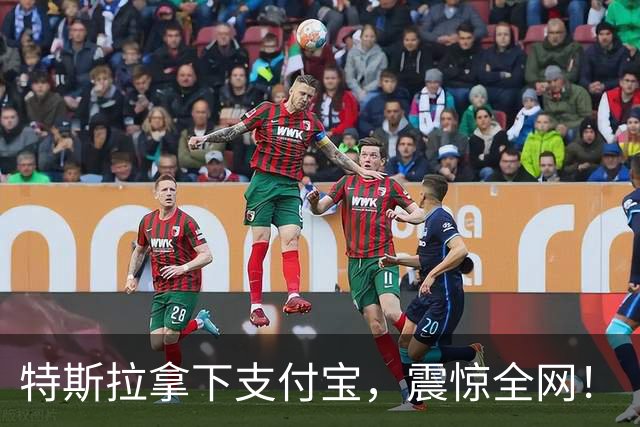 特斯拉拿下支付宝，震惊全网！
