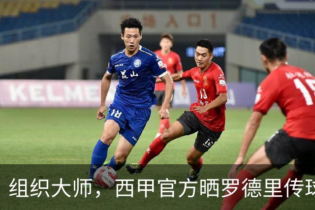 组织大师，西甲官方晒罗德里传球线路图：129次传球成功率98%