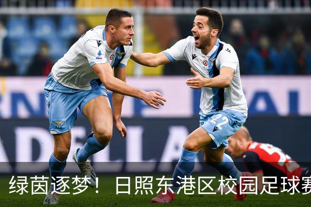 绿茵逐梦！日照东港区校园足球赛燃情开赛
