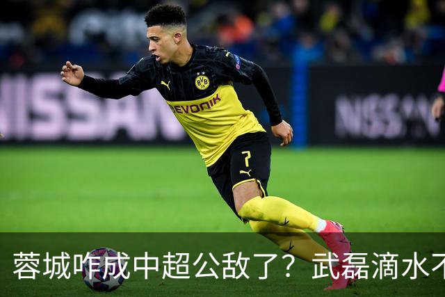 蓉城咋成中超公敌了？武磊滴水不漏！刘祝润：现实满足了大连球迷心愿 最后努力一把