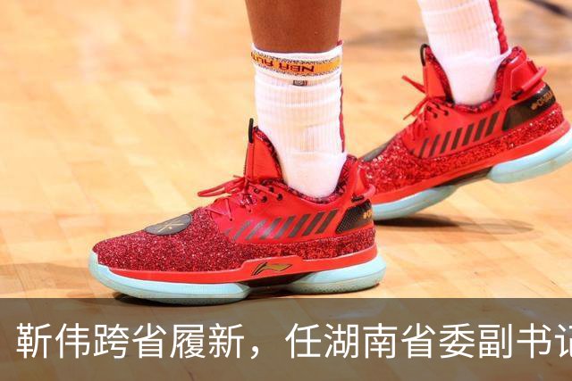 靳伟跨省履新，任湖南省委副书记！谭明鹤，任广州市委常委、秘书长！